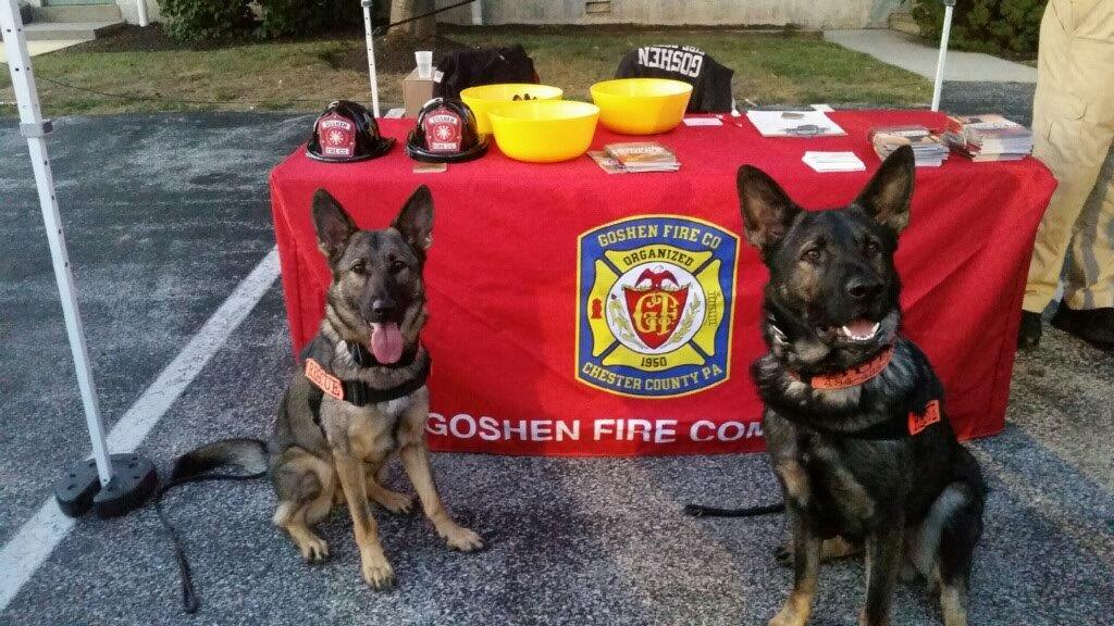 Rini and Dude at Goshen Fire Company